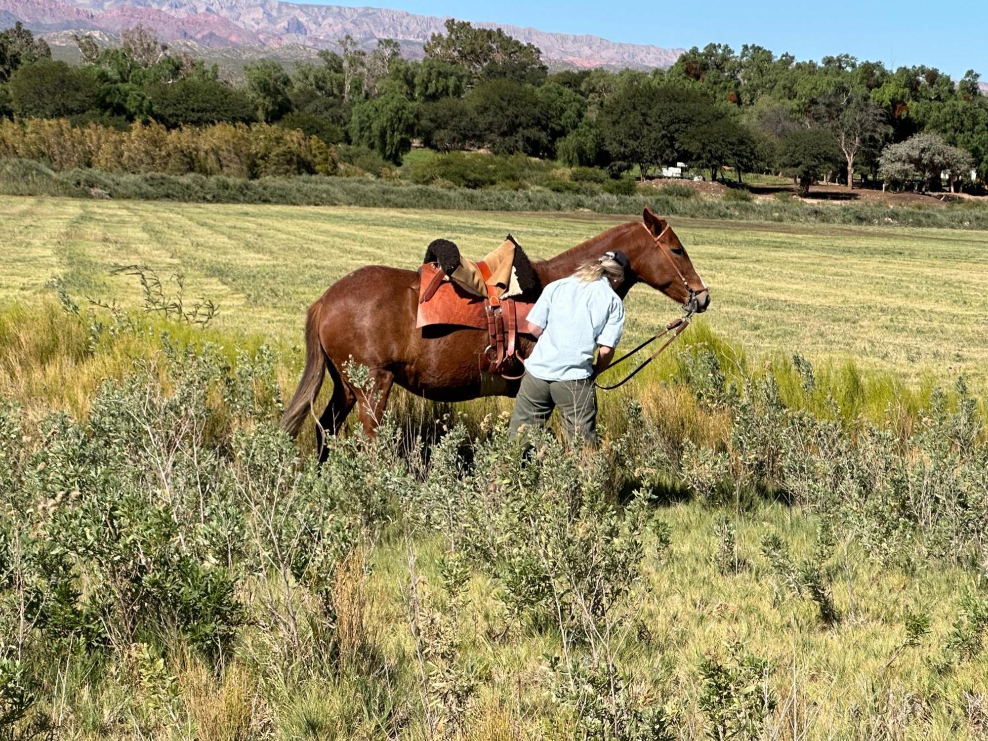 Estancia Banda Grande - Horse & Hiking Safaris Molinos Luaran gambar