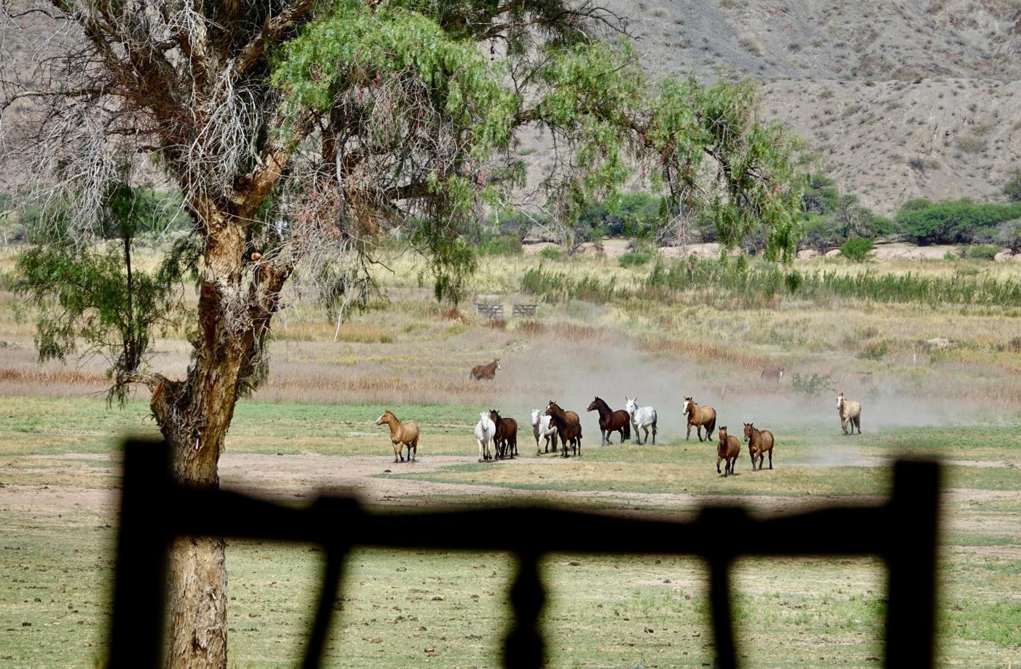 Estancia Banda Grande - Horse & Hiking Safaris Molinos Luaran gambar