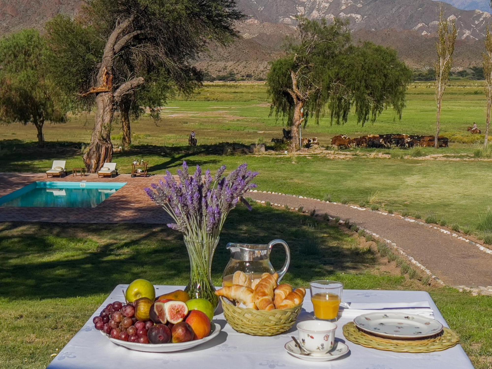 Estancia Banda Grande - Horse & Hiking Safaris Molinos Luaran gambar